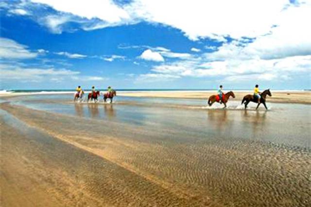 Riding horses on the beach of Playa Negra