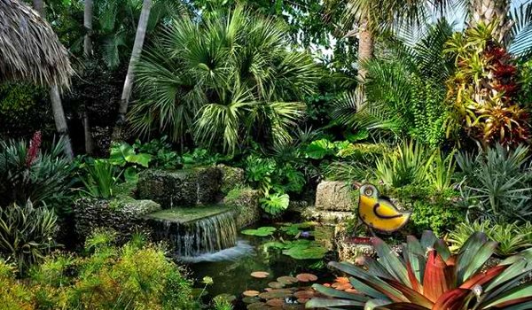 Beautifully landscaped garden in Costa Rica