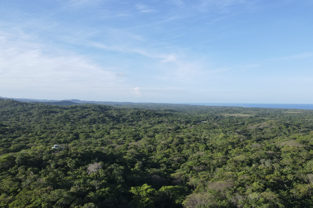 jungle-sanctuary-playa-negra-guancaste-costa-rica