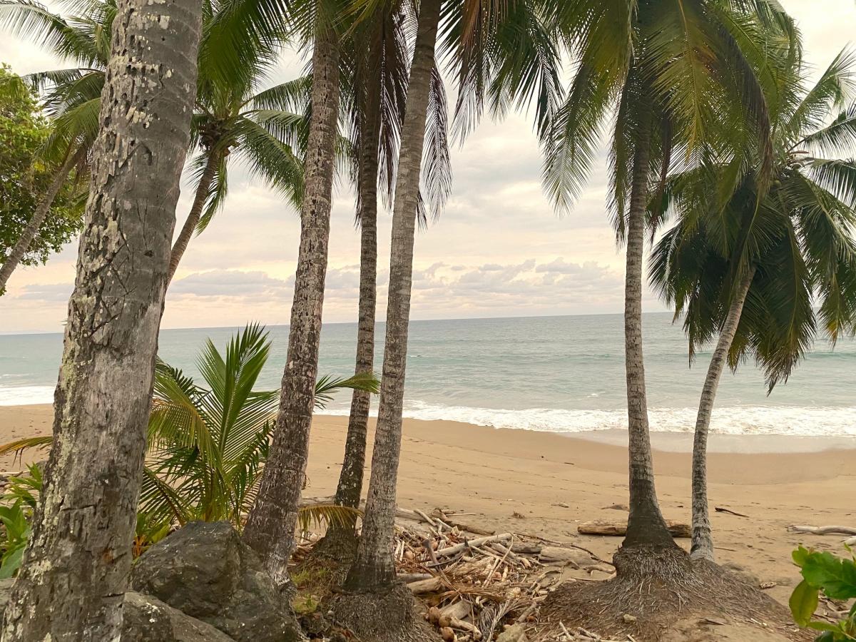 Tamarindo beach in Costa Rica is open