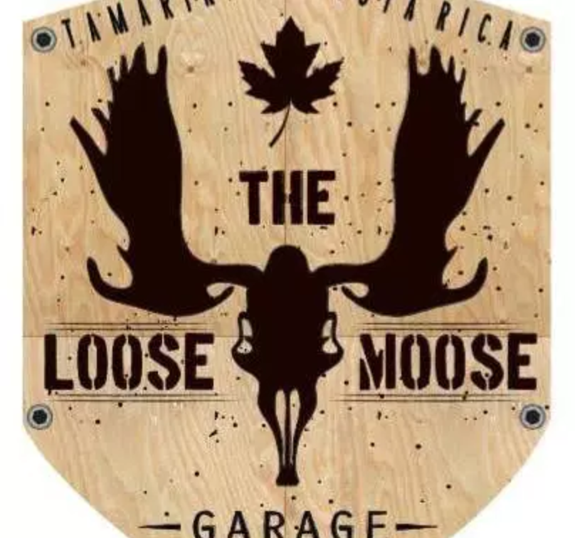 The loose moose in Tamarindo