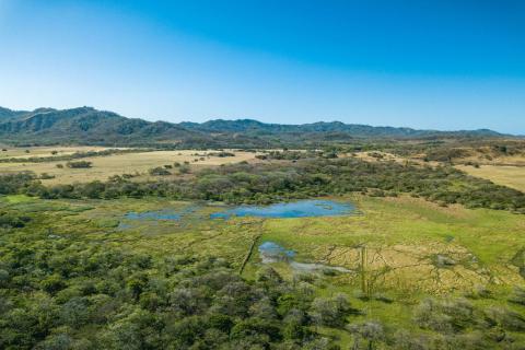 oasis-de-jutta-tamarindo-areas-guanacaste-costa-rica