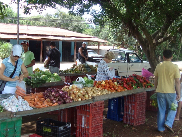 Costa Rica Farmer's Market